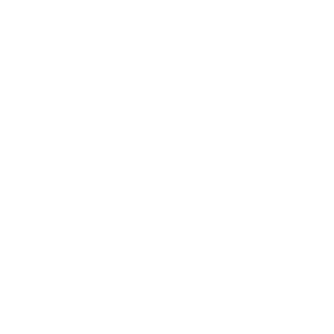 Luggage Storage